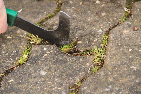 Hand entfernt Gras mit Fugenkratzer